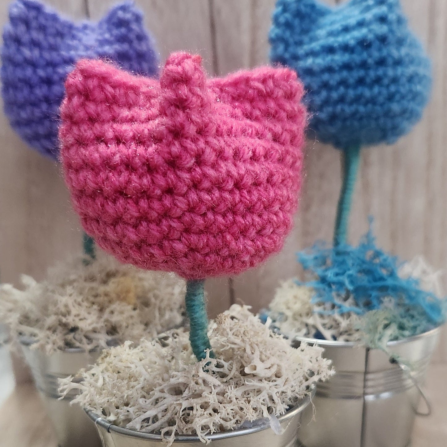 3 tulips in tin pots pink purple and blue